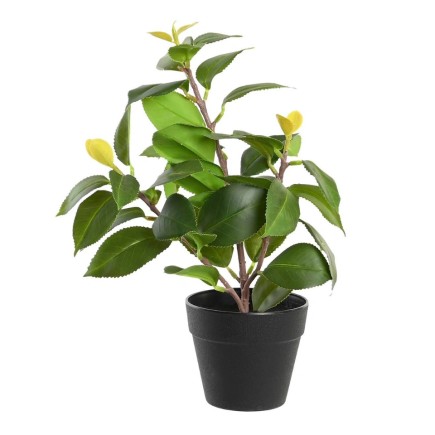 Planta Verde Artificial con Maceta Negra 30 cm