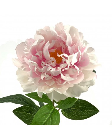 Flor Peonia Rosa Artificial