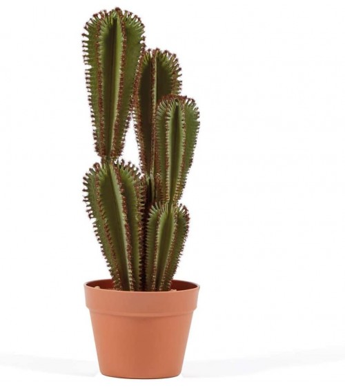 Cactus Artificial Euphorbia Suzannae 57.5 cm