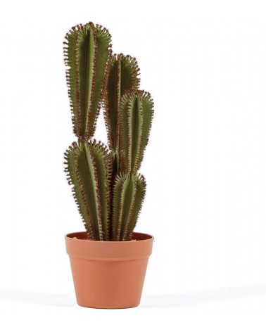Cactus Artificial Euphorbia Suzannae