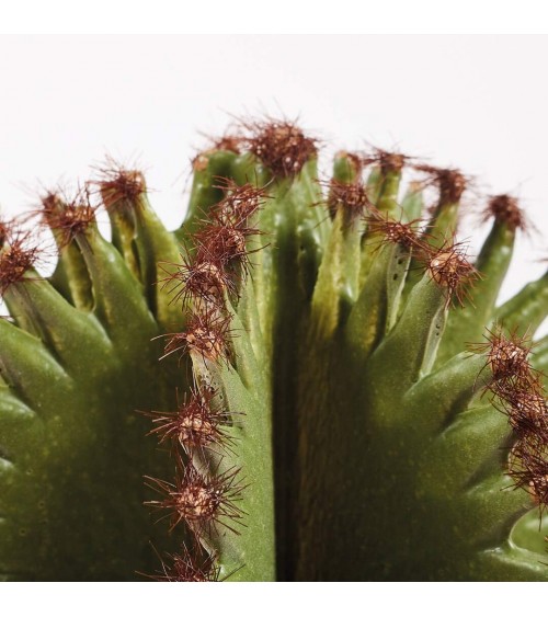 Cactus Artificial Euphorbia Suzannae 57.5 cm