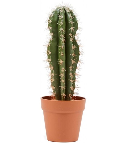 Cactus Stetsonia Coryne Artificial 43 cm