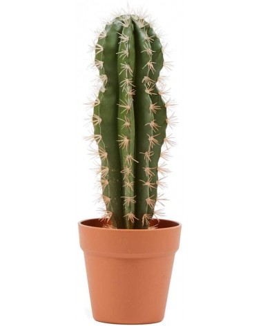 Cactus Stetsonia Coryne Artificial