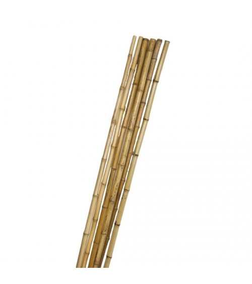 Caña de Bambú Natural 150 cm