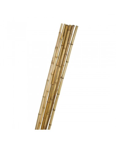 Caña de Bambú Natural 150 cm